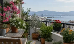 İzmir’de balkon bitkileri sonbahara nasıl hazırlanmalı?