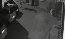 İzmir’de köpeğini tekmeleyen şahıs gözaltına alındı
