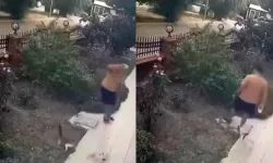 İzmir’de yavrulu kediye tekme atan şüpheli yakalandı