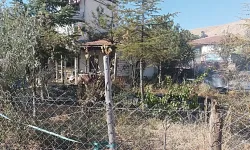 Kuru otları yakmak isterken canından oldu