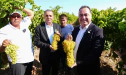 Manisa’da dört günlük Bağbozumu Şenlikleri başladı