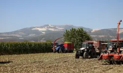 Muğla’da atıl tarım arazileri üretime kazandırılıyor