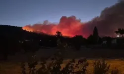 Muğla’da orman yangını kontrol altına alınmaya çalışılıyor