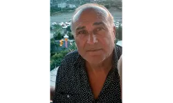 Yol kenarında yürüdüğü sırada otomobilin çarptığı yaya hayatını kaybetti
