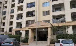 Pakistan'da kan donduran olay! Doktor ve ailesi ölü bulundu: 5 ölü