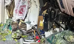 Tıra arkadan çarpan sebze yüklü kamyonun sürücüsü hayatını kaybetti