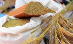 Seferihisar’da Ata Ekmeği ve Armola Şenliği başlıyor