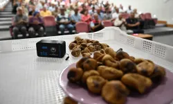 Selçuk'ta incirde aflatoksine karşı yeni destek