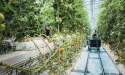 Seracılık ve plastik sektörü buluştu: Hedef 5 milyon dönüm sera!