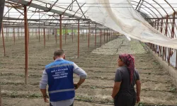 Serası yangında zarar gördü, destek bir günde ulaştırıldı