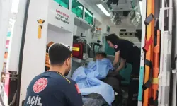 Arıdan korkup ağaçtan düşen 14 yaşındaki çocuğun koluna demir saplandı