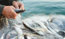 Su ürünleri sektörü İzmir’de Future Fish’te buluşacak