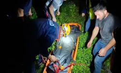 İki kardeşin kahreden sonu: Uçuruma yuvarlanan kamyonette öldüler