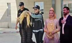 Vanlı Kara Haydar’ın eşi Çağla Öz Tançalan tutuklandı