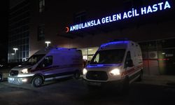 Hayvan otlatma tartışması taşlı sopalı kavgaya dönüştü: 5 yaralı