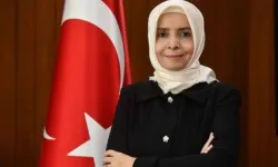 Finlandiya Büyükelçisi Ayşe Hilal Sayan Koytak kimdir?
