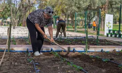 Beyin kanaması geçirdi, hayata toprakla tutundu