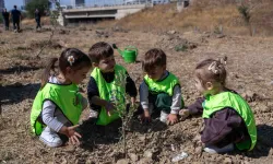 Bornova'nın minikleri zeytin fidanlarıyla geleceğe kök saldılar