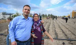 Bornova’nın kent bostanlarında kış mesaisi başladı