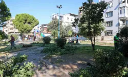 Buca'da 47 mahallede yeşil alan seferberliği