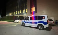 Ceviz ağacından düşen 72 yaşındaki adam hayatını kaybetti