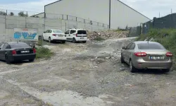 Cinayet şüphelisi araçta ölü bulundu