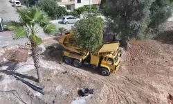 Didim'de Kaykay Parkı projesinde yeşil alanlara koruma