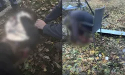Ukrayna’da çocukların bulunduğu parka İHA saldırısı: 3'ü çocuk 6 ölü