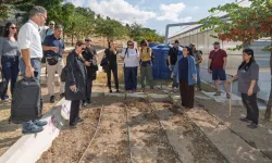 İklim krizine karşı 3 yıllık Avrupa projesi başladı