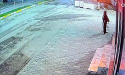 İnanılmaz olay kamerada! Kediye taşla vurup yoluna devam etti