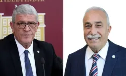 İYİ Parti'de siyasi kriz: Dervişoğlu'nun istifasını istediği Fakıbaba kararını duyurdu