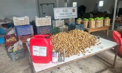İzmir’de 3 ton kimyasal maddeyle beyazlatılmış incir ele geçirildi: Piyasa değeri 1 milyon lira