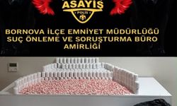 İzmir’de boş arazi ve evden 43 bin 730 sentetik ecza çıktı: 1 gözaltı