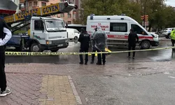 Kamyonun çarptığı 77 yaşındaki kadın hayatını kaybetti