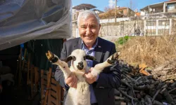 Kemalpaşa Belediyesi'nden çiftçilere yeni destek!