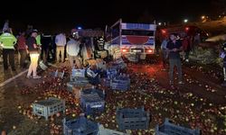 Korkunç kaza: Kamyonet sürücüsü feci şekilde can verdi!