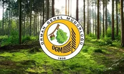 OGM müfettiş alım şartları neler? Başvurular ne zaman başlayacak?