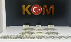 Piyasaya sahte dolar sürecekti: Operasyonla yakalandı!