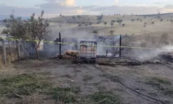 Samanlık yangınında 76 yaşındaki kişi hayatını kaybetti
