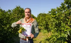 Seferihisar'da mandalinanın kabuğu bile değerlenecek