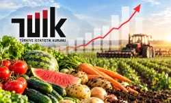 TÜİK açıkladı: Tarım üretici fiyatları eylülde geriledi