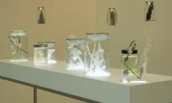 Türkiye Innovation Week 2026: Art and Technology Come Together | Integri News