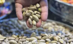 Türkiye'nin fıstık ihracatı 9 ayda yüzde 46,7 geriledi