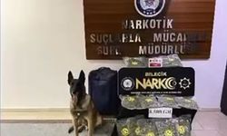 Valize gizlenen 8,5 kilo skunk ele geçirildi: 2 şüpheli tutuklandı