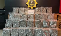 Yolcu otobüsünde yüklü miktarda skunk ele geçirildi: 1 tutuklama