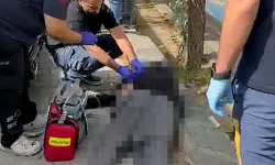 Yürürken dengesini kaybetti, başını taşa çarpıp hayatını kaybetti