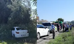 Zeytin bahçesine giren otomobilin çarptığı kişi yaşamını yitirdi