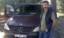 Zeytin toplarken arı soktu: 3 çocuk babası hayatını kaybetti