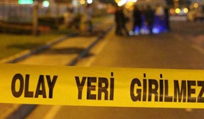 Sabah yürüyüşünde dehşeti yaşadılar; ağaca asılı halde erkek cesedi buldular