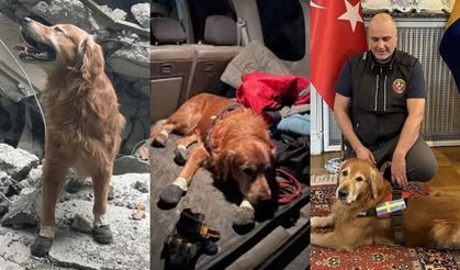 Depremde 18 kişiyi enkaz altından kurtaran kahraman Killian hayatını kaybetti